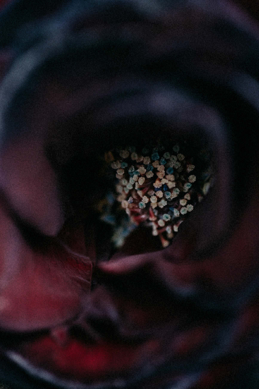 Style Shoot in Tuscany, Italy dark bridal flowers inspiration